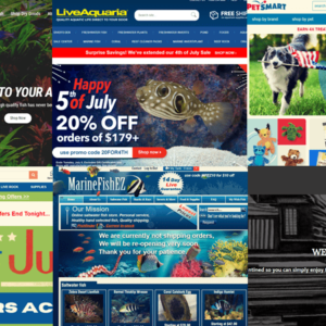 best online fish stores