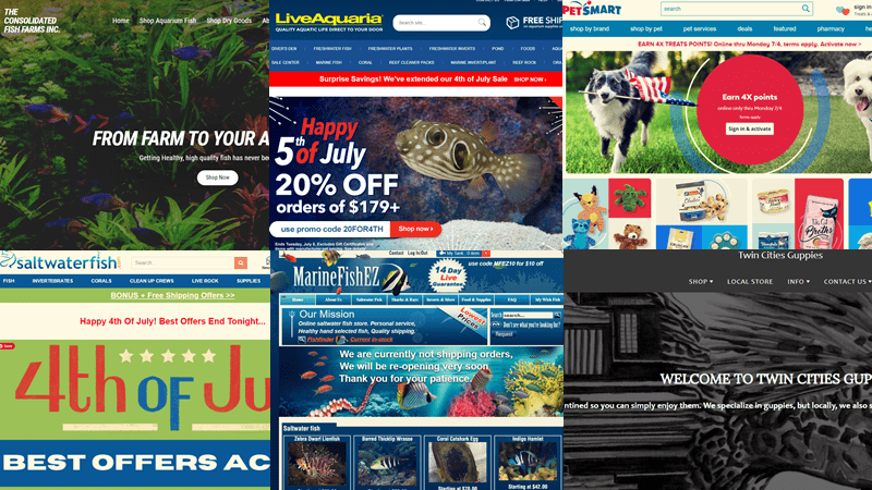 best online fish stores